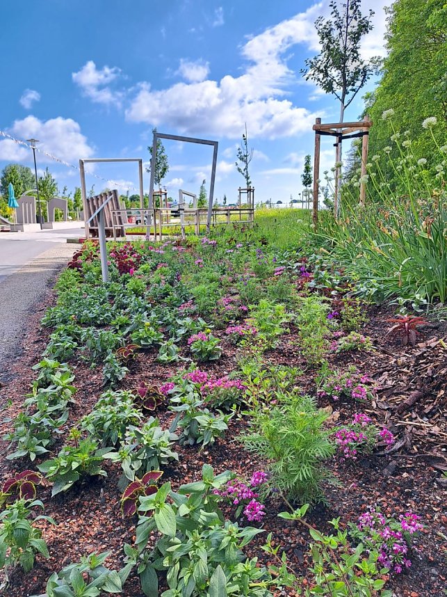 Vorbereitungen f&uuml;r den Sommerflor auf der Landesgartenschau