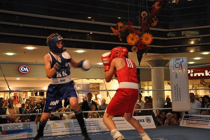 Boxen in der S&uuml;dharzgalerie