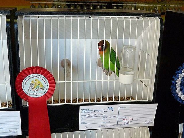 Vogelausstellung in Sondershausen