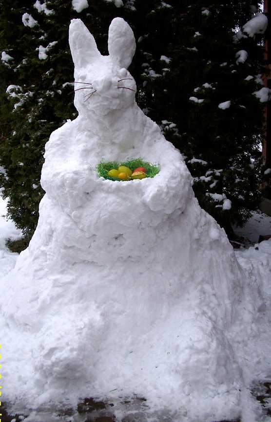 Bild: Schneehase
